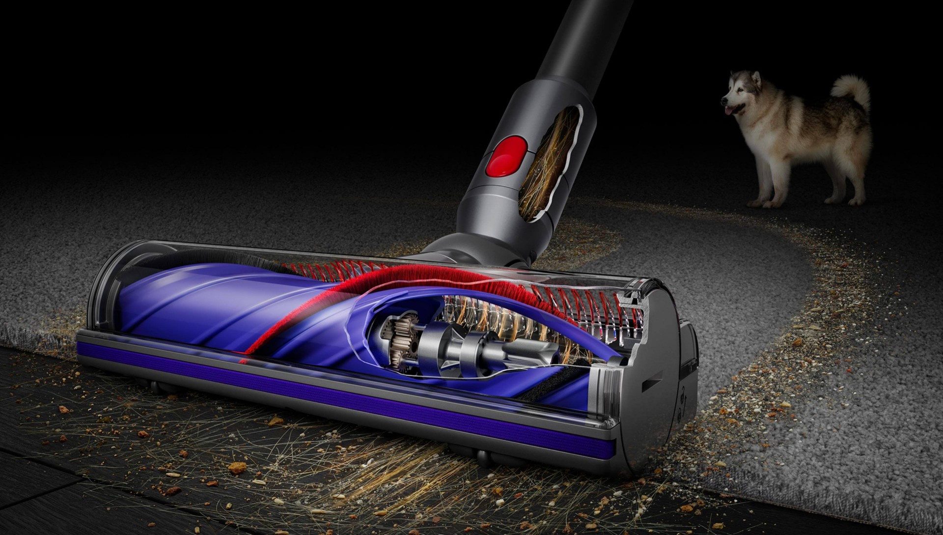 Dyson Cyclone V10™ Absolute