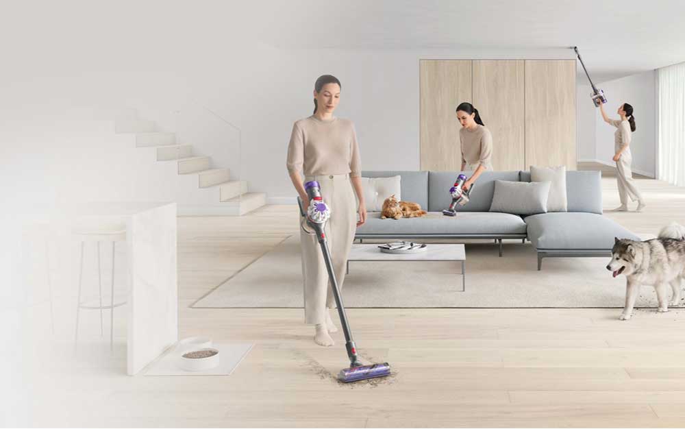 Dyson V8™