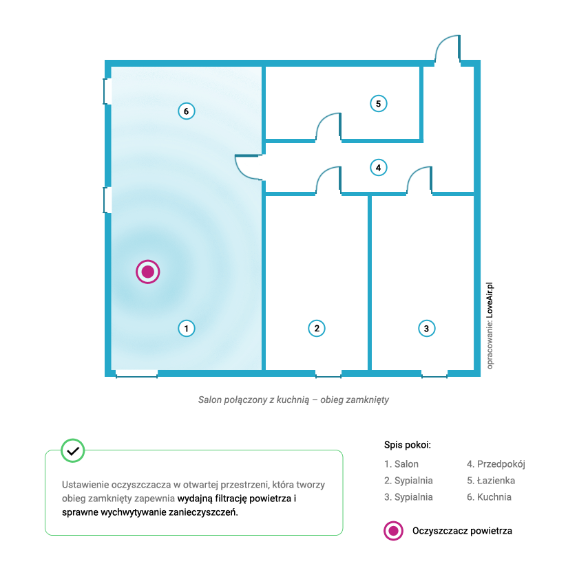 Prawidłowe ustawienie oczyszczacza w salonie