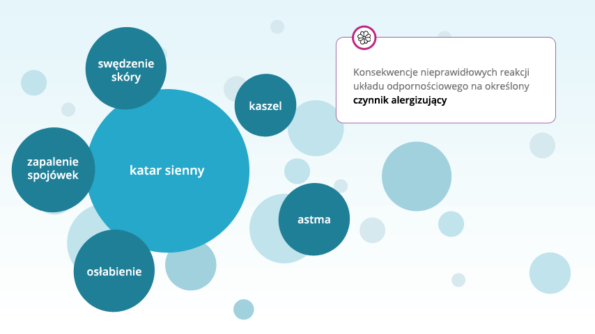 Reakcje organizmu na czynniki alergiczne - infografika
