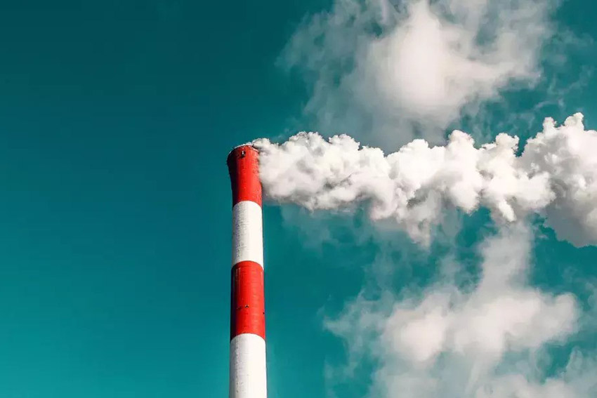 Jak smog wpływa na alergików