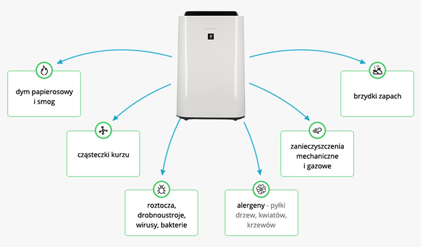 Rodzaje zanieczyszczeń - infografika