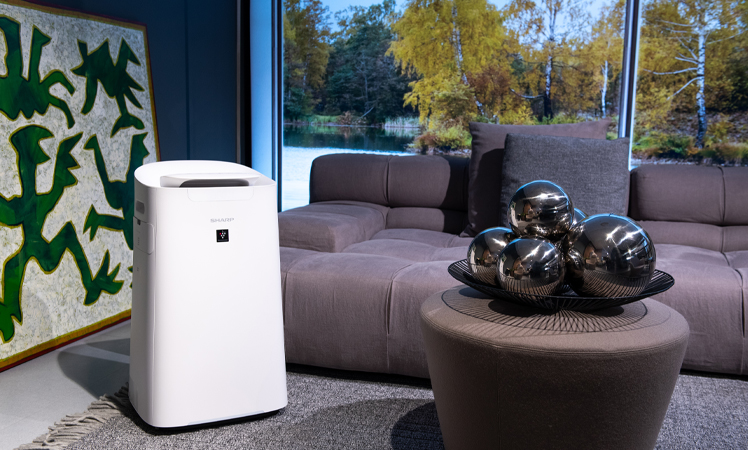 Aranżacja z Sharp UA-KIL80E-W