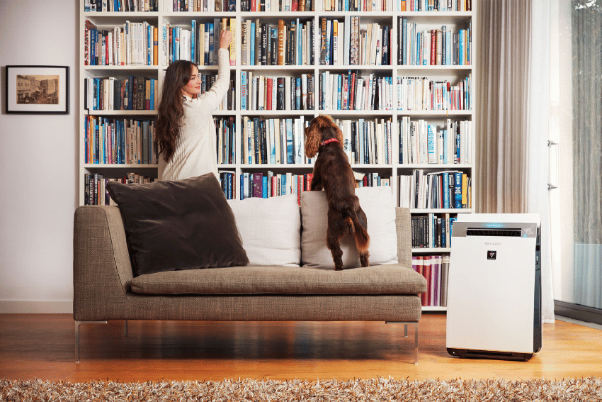 Oczyszczacz Sharp KI-G75EUW