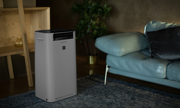 Oczyszczacz powietrza z jonizacją Sharp UA-HG50E-L