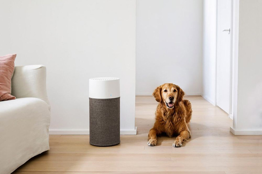 Oczyszczacz powietrza na alergię na sierść zwierząt w domu z psem lub kotem