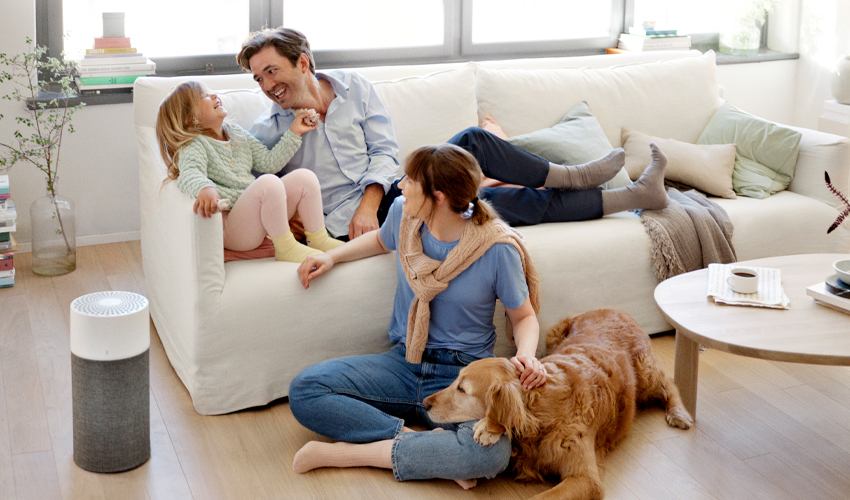 Oczyszczacz powietrza Blueair Blue 3210