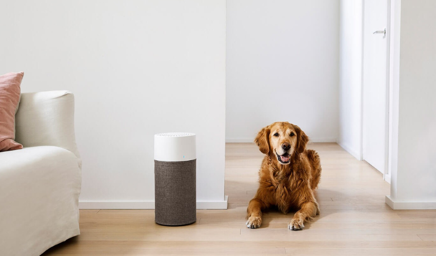 Blueair Blue 3410 w aranżacji