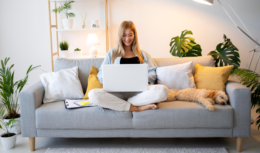 Jak wybrać nawilżacz powietrza do domu ze zwierzętami?