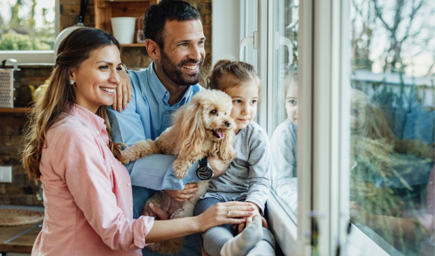 Dla zwierząt domowych szkodliwa jest zarówno za wysoka, jak i za niska wilgotność powietrza