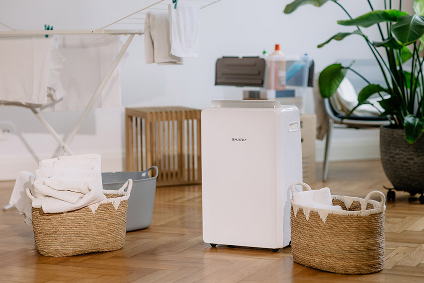 Osuszacz Sharp z funkcją suszenia prania