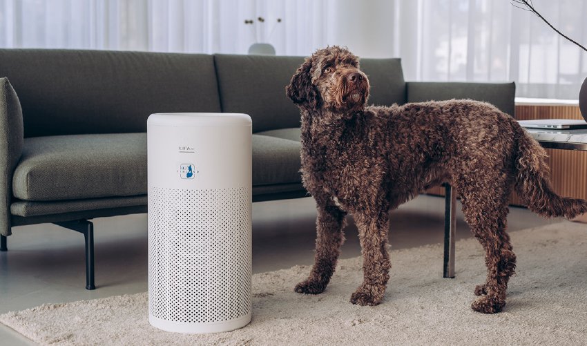 LIFAair LA350  aranżacja