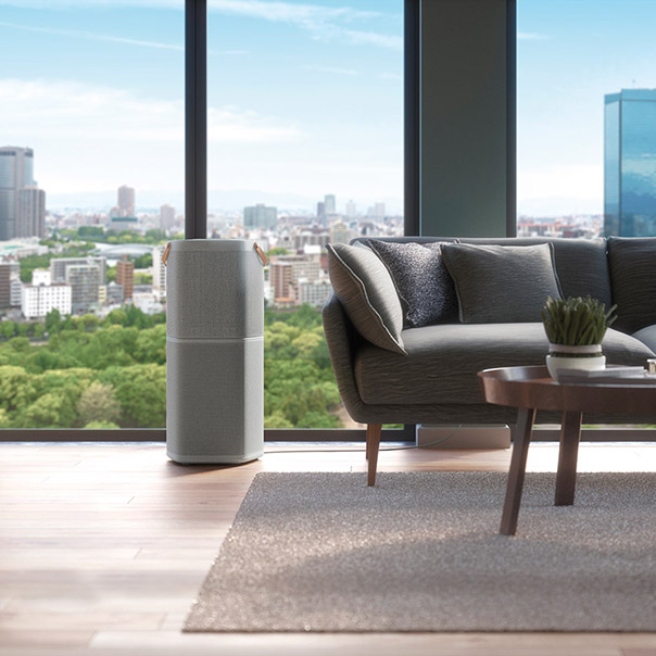 Oczyszczacz Electrolux - aranżacja w salonie