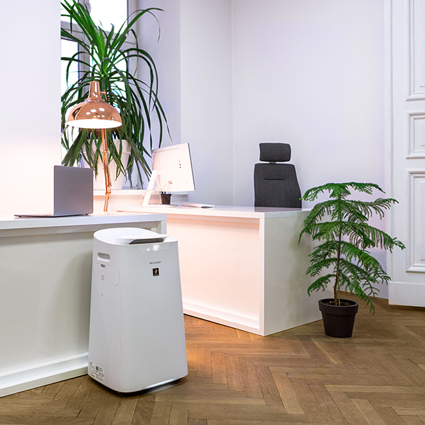 Oczyszczacz Sharp - aranżacja w biurze
