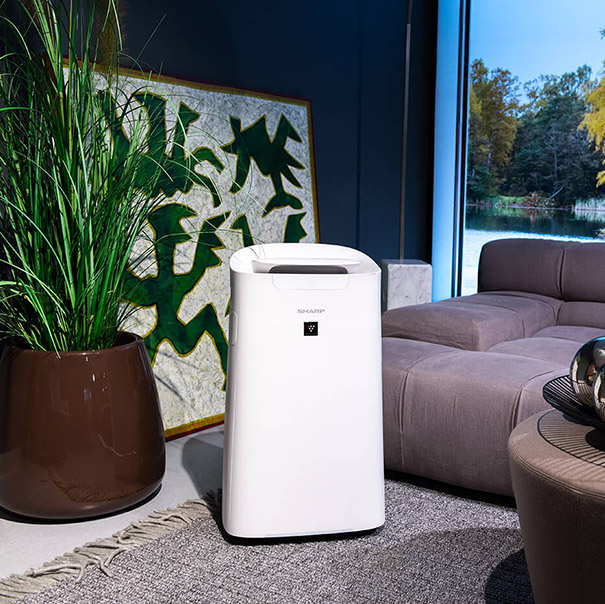 Oczyszczacz Sharp UA-KIL60E-W