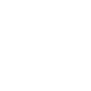 PoweCyclone12