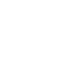 Precisio Power Smart