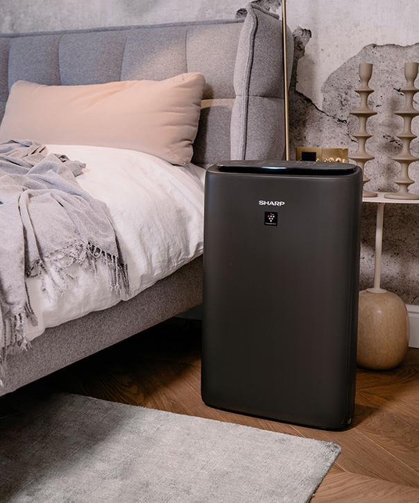Oczyszczacz powietrza Sharp UA-KIN52E-H