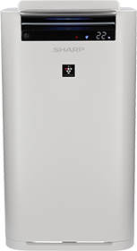 Oczyszczacz Sharp UA-HG40E-L