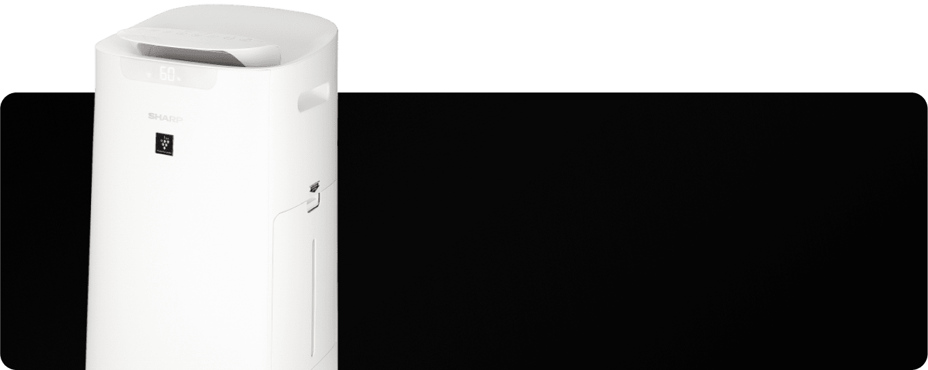 Promocje Black Friday