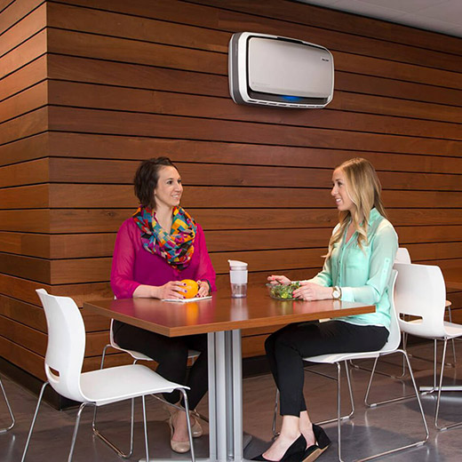 Fellowes AeraMax Pro AM4