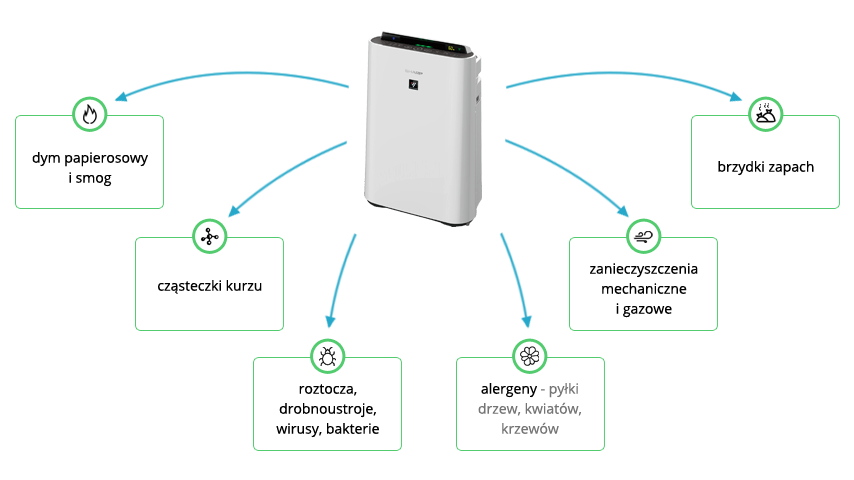 Rodzaje zanieczyszczeń powietrza - infografika