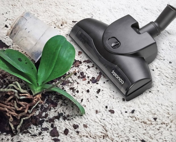 duża turboszczotka w Concept VP8290