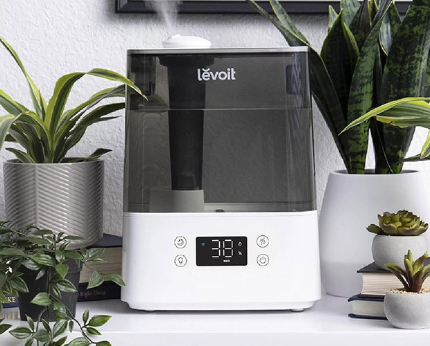 aranżacja nawilżacza Levoit Classic 300S