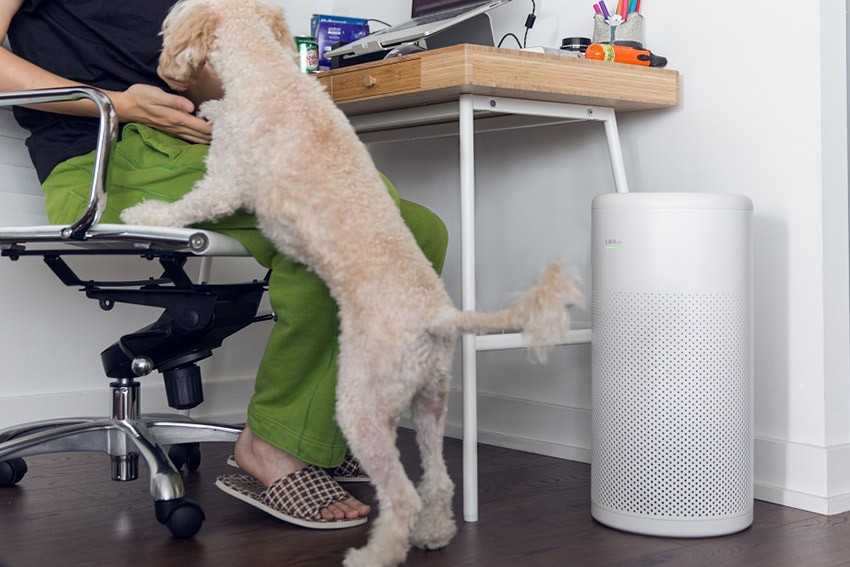 oczyszczacz powietrza LIFAair LA333