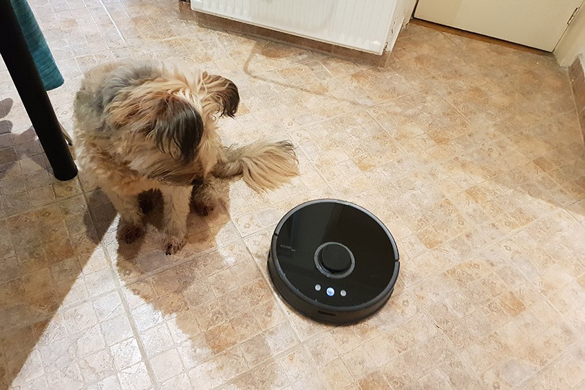 robot sprzątający w trakcie odkurzania sierści od psa