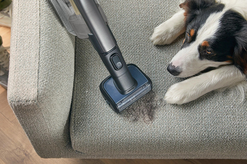 odkurzanie sierści psa