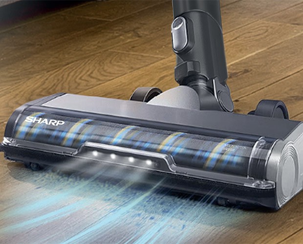 Zbliżenie na szczotkę w Sharp SA-VP4261BS