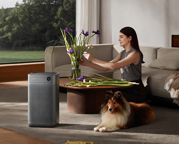 usuwanie zapachu zwierząt przez oczyszczacz Smartmi Air Purifier 3