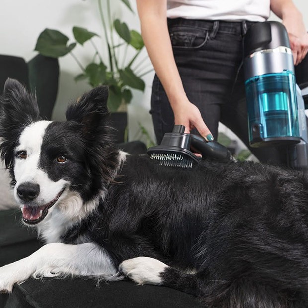 Szczotka PET dostępna w odkurzaczu pionowym Concept