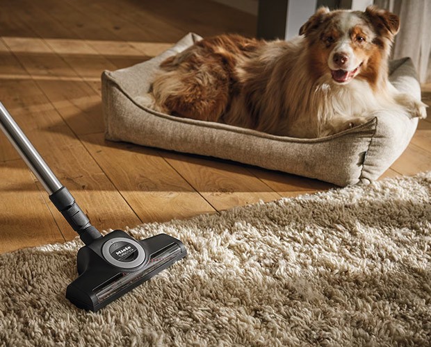 TurboTeQ - turboszczotka dla właścicieli zwierząt