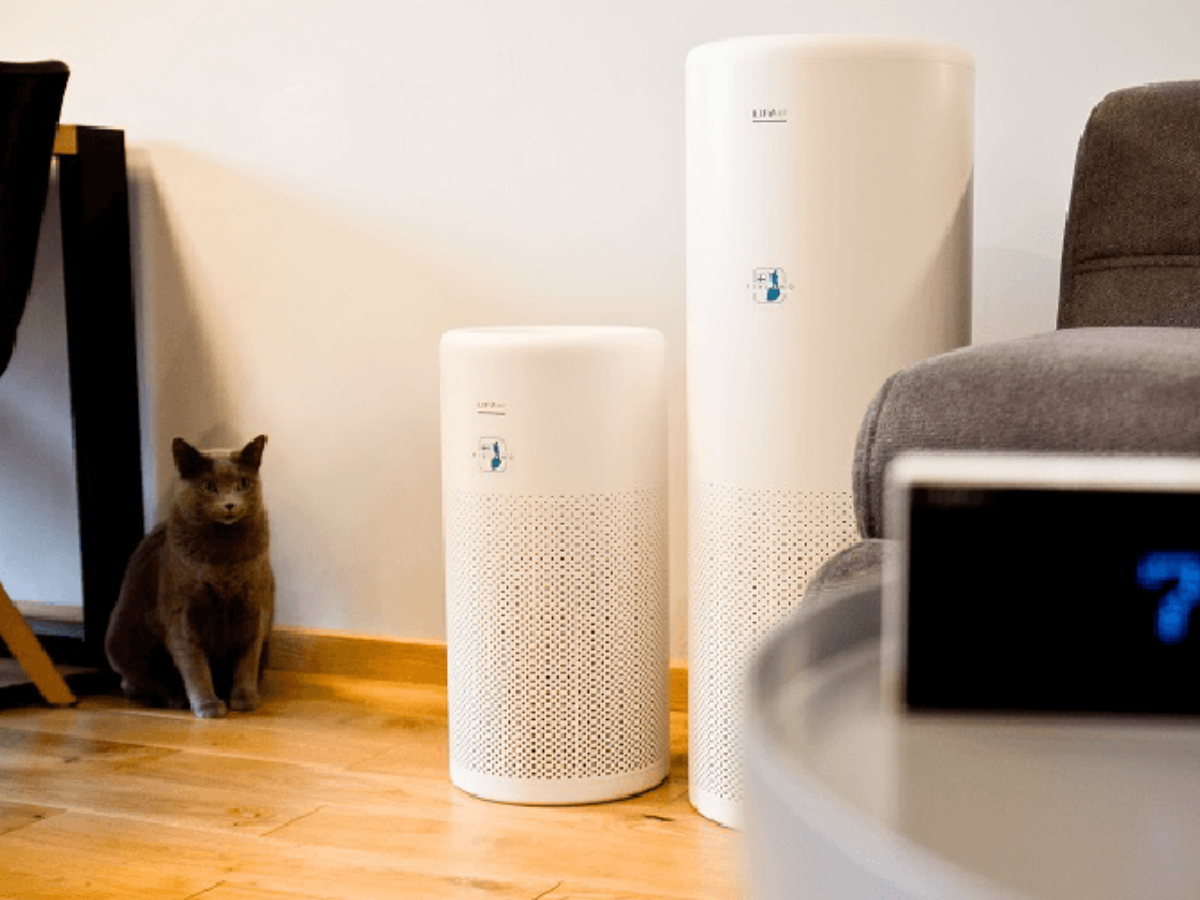 Oczyszczacze LIFAair w domu, w którym mieszka kot