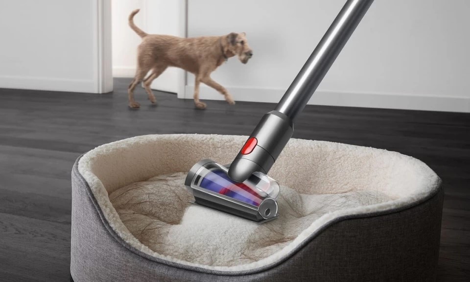 Odkurzanie siedziska po sierści psa