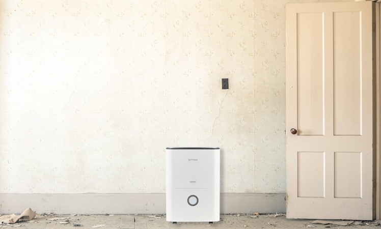 Rotenso Dorai D20X aranżacja