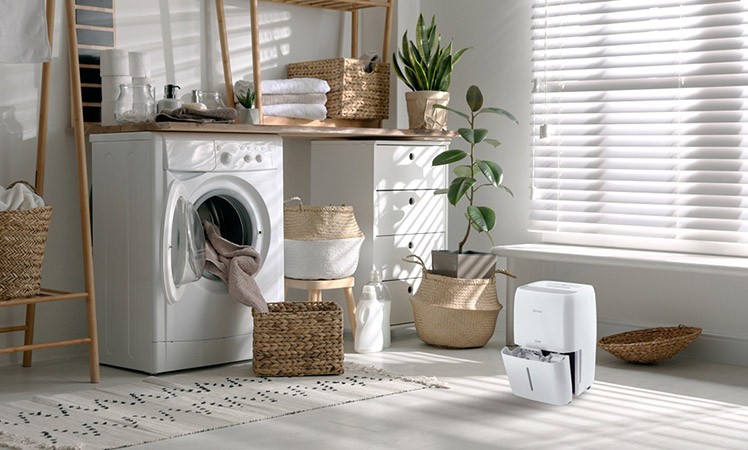 Osuszacz Rotenso DOrai D30X w aranżacji