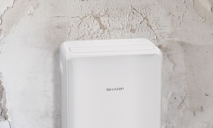 Sharp UD-P16E-W aranżacja