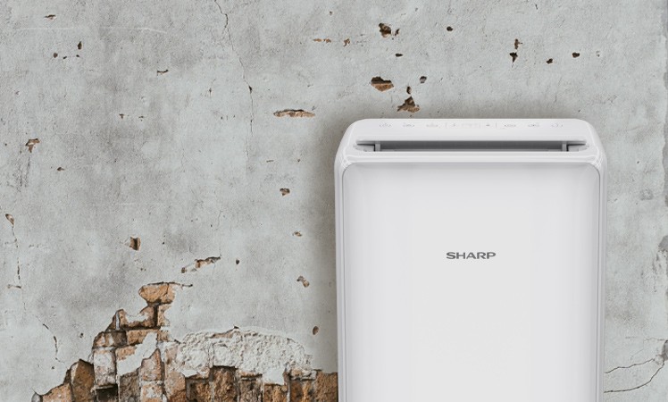 Osuszacz Sharp UD P20E W