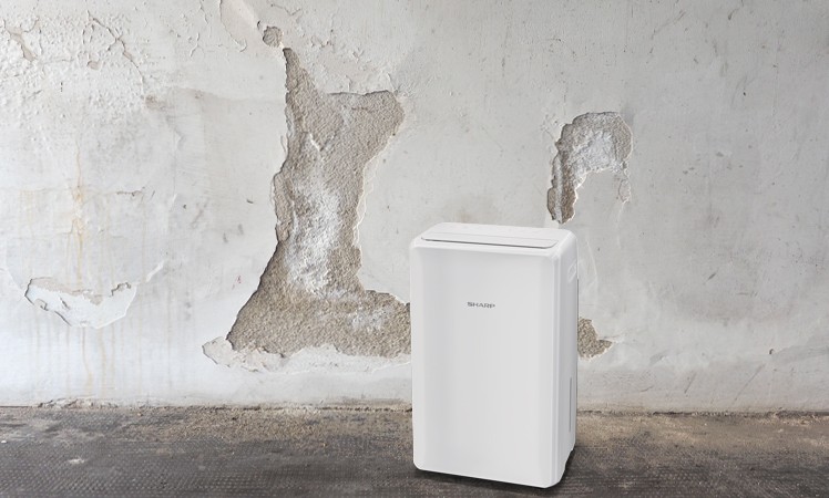 Sharp UD-P20E-W aranżacja