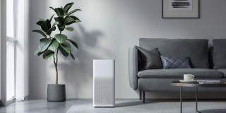 Aranżacja oczyszczacza Xiaomi Air Purifier 2H