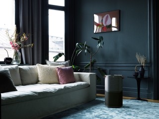 Electrolux Pure A9 PA91-404DG w pokoju