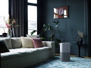 Aranżacja oczyszczacza Electrolux PA91-404GY