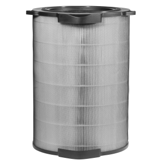 Filtr Electrolux EFDBTH6