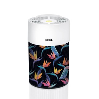 Wzór papugi - aranżacja