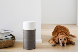 Blueair Blue 3210 - aranżacja oczyszczacza