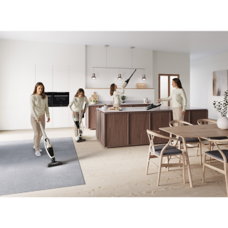 Electrolux WELL Q6 WQ61-44SW