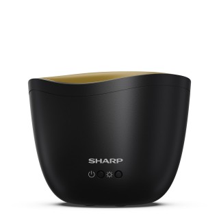 Sharp DF-A1E-B - widok przód